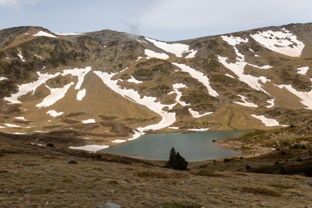 font romeu wateropslag